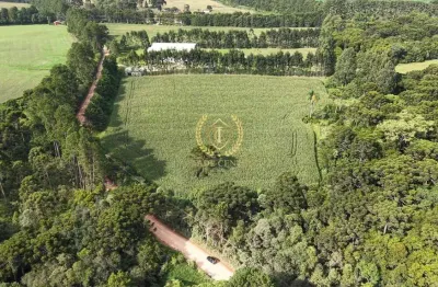 Terreno à venda na Rua Pedro Buhrer, --, Campo Largo da Roseira, São José dos Pinhais