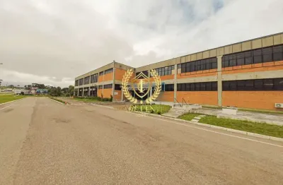 Barracão / Galpão / Depósito para alugar na Rodovia BR-376, --, Barro Preto, São José dos Pinhais
