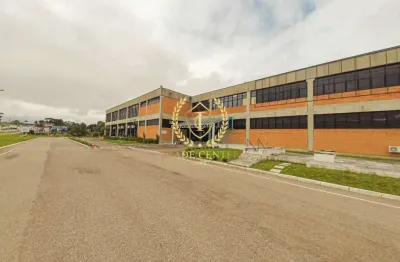 Barracão / Galpão / Depósito para alugar na Rodovia BR-376, --, Barro Preto, São José dos Pinhais