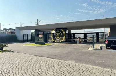 Terreno à venda na Rua dos Pintassilgos, --, Aviação, São José dos Pinhais