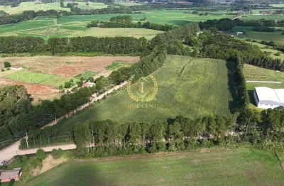 Terreno à venda na Rua Pedro Buhrer, --, Campo Largo da Roseira, São José dos Pinhais