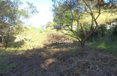 Terreno em condomínio fechado à venda na Avenida Carlos Mariguella, 380, Inoã, Maricá