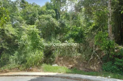Terreno à venda na Rua Noventa e Um, 103, Balneário Bambuí (Ponta Negra), Maricá