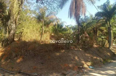 Terreno à venda, 2490 m² por r$ 275.000,00 - chácaras de inoã (inoã) - maricá/rj
