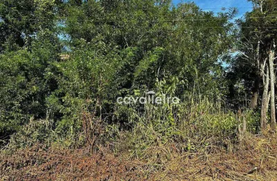 Terreno à venda, 1120 m² por r$ 150.000,00 - chácaras de inoã (inoã) - maricá/rj