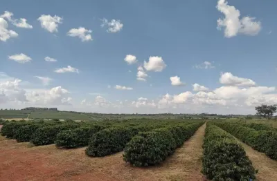 Azenda com 234 hectares para agricultura com café no município de piumhi - mg