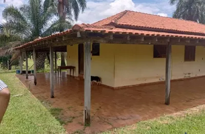 Fazenda dupla aptidão com amendoim com 40 alqueires paulistas em macaubal - sp