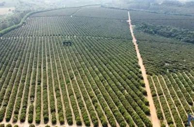 Fazenda para agricultura em laranja com 110 alqueires paulistas em franca - sp