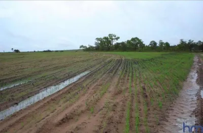 Fazenda 1.300 alqueires para lavoura com outorga para irrigação em rio sono-to