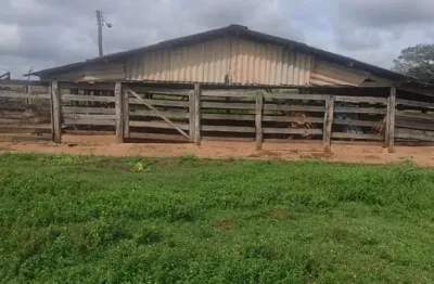 Fazenda dupla aptidão com 39 alqueires paulistas em votuporanga - sp