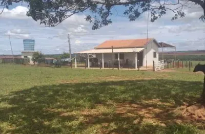 Fazenda para agricultura em amendoim com 84,5 alqueires paulistas em junqueirópolis - sp