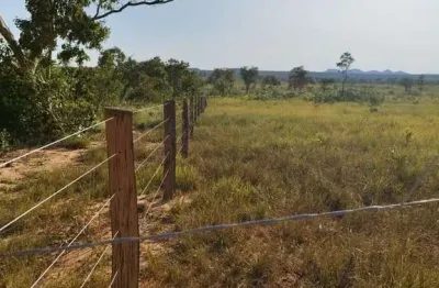 Fazenda dupla aptidão 1.250 alqueires em recursolândia-to