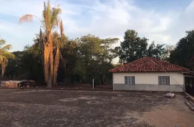 Fazenda para agricultura com seringueiras com 14 alqueires paulistas em mirassolândia - sp