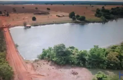 Fazenda com 815 alqueires dupla aptidão em são miguel do araguaia - go