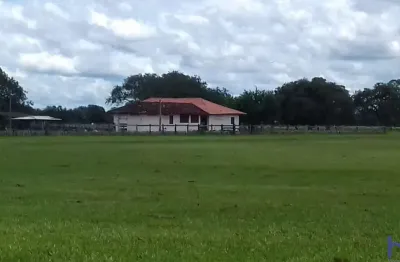 Fazenda dupla aptidão com 40.600 hectares em pium - to