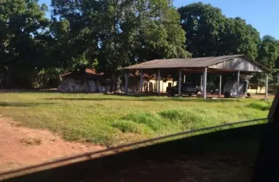 Fazenda à venda na Estrada Vicinal Municipal De Nova Crixás, KM 15, Zona Rural, Nova Crixás