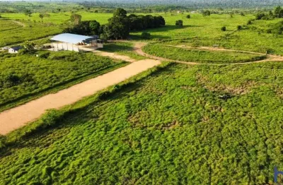 Fazenda dupla aptidão com 340 alqueires em goianésia do pará - pa