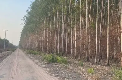 Fazenda dupla aptidão com 9.500 hectares em anapurus - ma