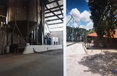 Fazenda para agricultura com 9.300 hectares no município de brejo - ma