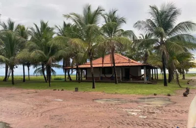 Fazenda com 5.600 hectares para agricultura em santa quitéria do maranhão - ma