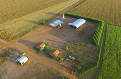Fazenda dupla aptidão com 4.600 hectares em gaúcha do norte - mt