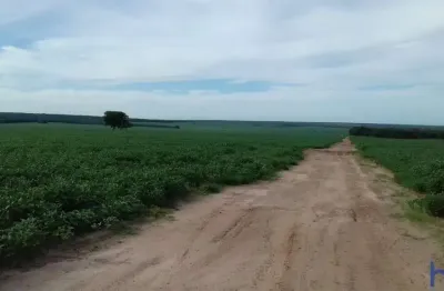 Fazenda com 2.040 hectares dupla aptidão em ribeirão cascalheira - mt