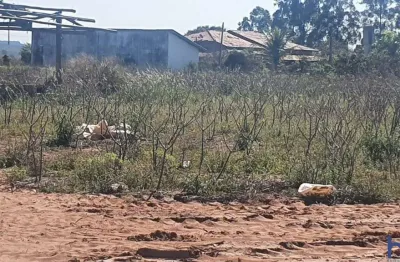 Fazenda com 558 alqueires paulistas dupla aptidão em cana arrendada em bauru - sp