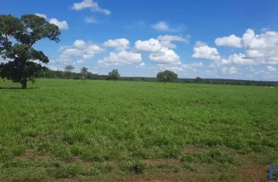 Fazenda dupla aptidão com 230 alqueires em marianópolis do tocantins - to  no vale do araguaia