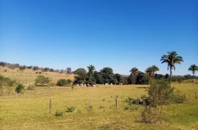 Fazenda à venda na Estrada Vicinal Municipal De Caldas Novas, KM 03, Zona Rural, Caldas Novas