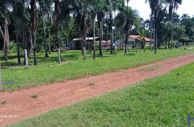 Fazenda com 81 alqueires para pecuária no município de bom jardim de goiás - go