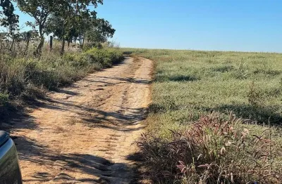 Fazenda para agricultura com 45 alqueires em ipameri - go