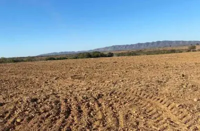 Fazenda com 602 alqueires dupla aptidão no município de são joão d'aliança - go