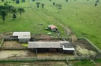 Fazenda com 220 alqueires dupla aptidão no município de são félix do xingu - pa