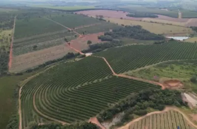 Fazenda para agricultura em laranja com 170 alqueires paulistas em angatuba - sp