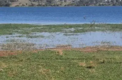 Fazenda para agricultura em cana com 90 alqueires paulistas em guaraci - sp