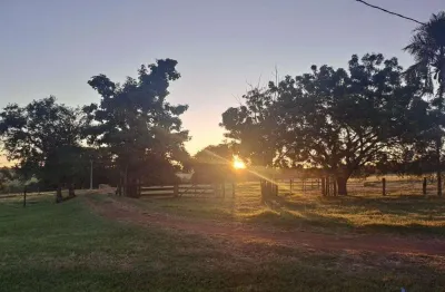 Fazenda à venda na Estrada Vicinal Municipal De Comendador Gomes, km 2,33, Zona Rural, Comendador Gomes