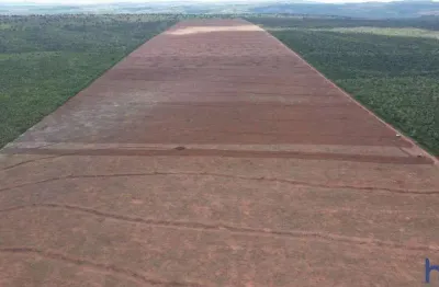Fazenda com 74 alqueires dupla aptidão no município de caiapônia - go