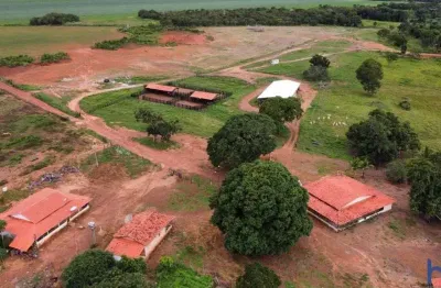 Fazenda dupla aptidão com 420 alqueires em fátima - to