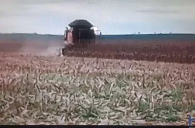 Fazenda com 420 alqueires dupla aptidão no município de fortaleza do tabocão - to