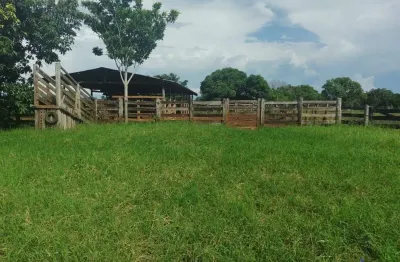 Fazenda dupla aptidão com 288 alqueires em marianópolis do tocantins - to  no vale do araguaia