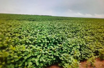 Fazenda dupla aptidão com 22.126 hectares em são félix de balsas - ma