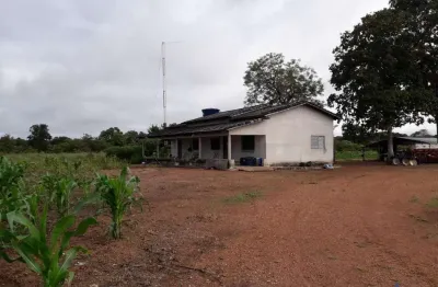 Fazenda dupla aptidão com 250 alqueires em dueré - to no vale do araguaia