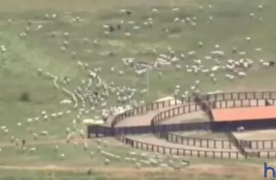 Fazenda para pecuária com 6.135 hectares em santo antõnio do leverger - mt