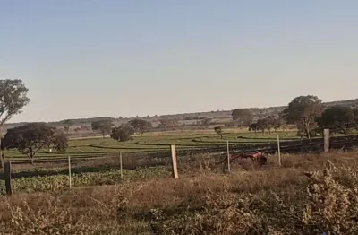 Fazenda dupla aptidão com 1.092 hectares em cassilândia - ms