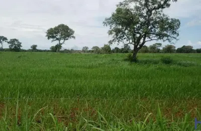 Fazenda com 311 alqueires dupla aptidão no município de porangatu - go
