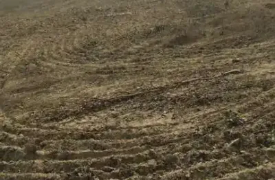 Fazenda dupla aptidão com 1.290 hectares em niquelândia- go