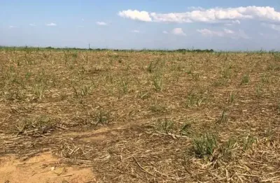 Fazenda para agricultura em cana com 81 alqueires em uruaçu - go