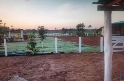 Fazenda dupla aptidão com 1.150 alqueires em santana do araguaia - pa