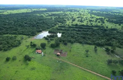 Fazenda dupla aptidão com 435 alqueires em novo planalto - go