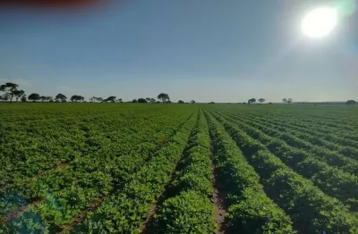 Fazenda com 203 hectares para agricultura em são francisco de sales - mg